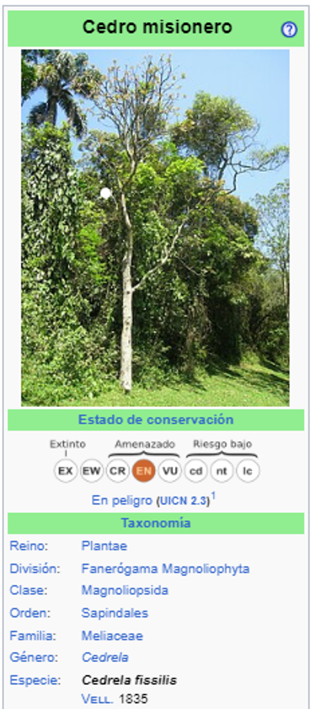CEDRELA FISSILIS